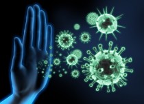Immunsystem Immunsystem
